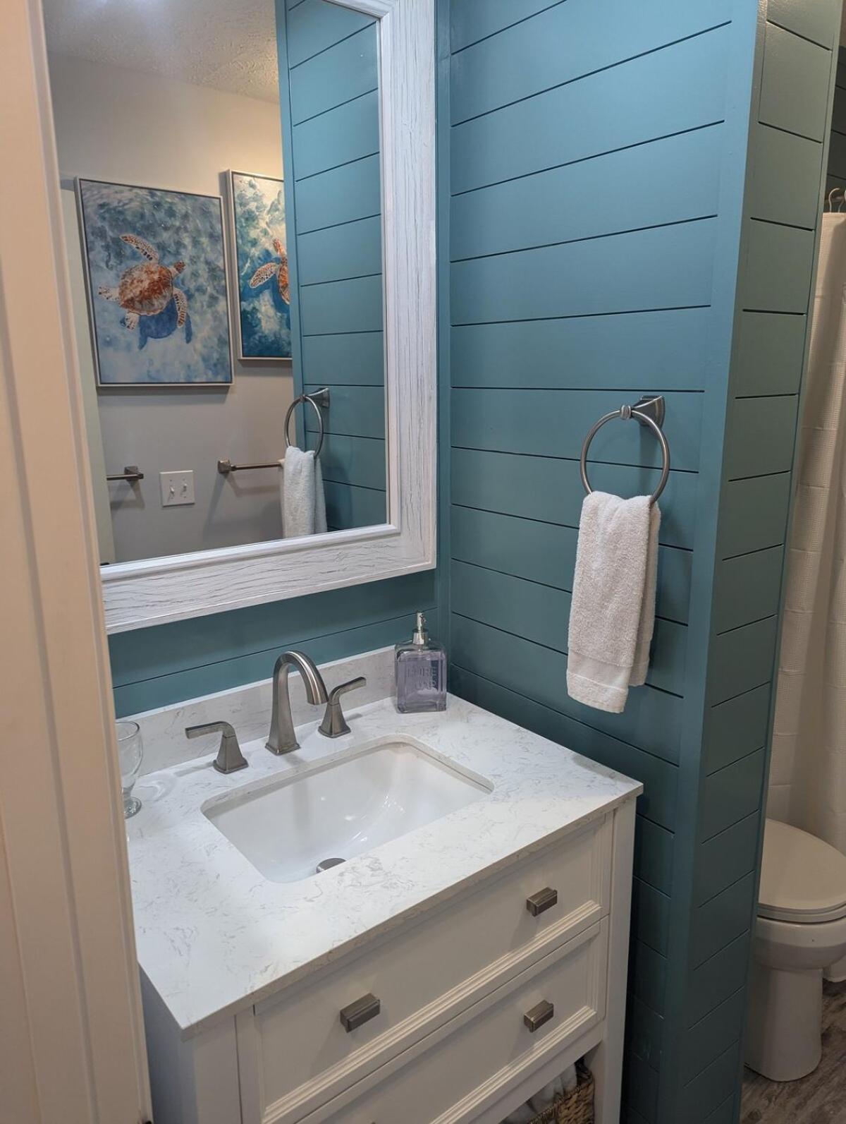 Double Take! Renovated Vacation Holiday home
